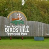 birds hill sign