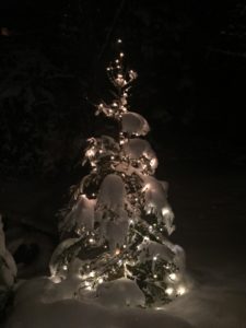 christmas_tree_snow_illuminated